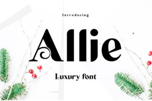 Allie: A Modern Display Font for Elegant Editorial Design