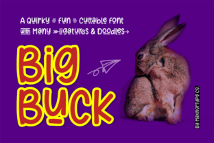 BigBuck: A Fun and Quirky Display Font for Scroll-Stopping Visuals