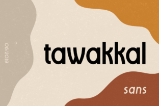 How Tawakkal Sans Helped My Small Business Look Polished and Professional