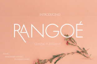 Rangoe: A Contemporary Display Font for Modern Web Design