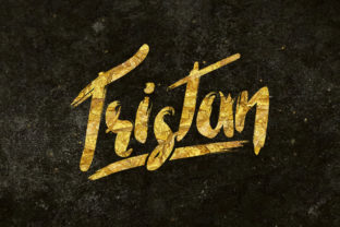Tristan: A Bold Display Font for Creative Branding Projects